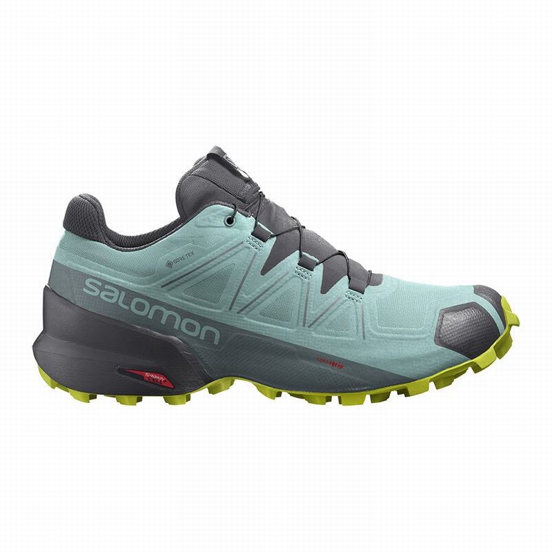 Zapatillas Trail Running Salomon Mujer Turquesa / Gris Oscuro - Salomon Argentina SPEEDCROSS 5 GORE-